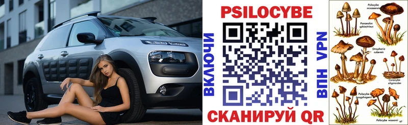 Псилоцибиновые грибы Cubensis  Купить где  Шенкурск 
