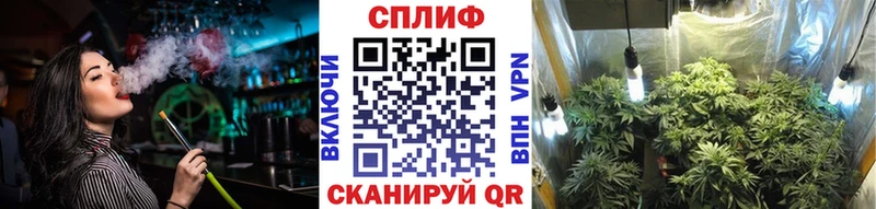 Купить где  Шенкурск  МАРИХУАНА ГИДРОПОН 