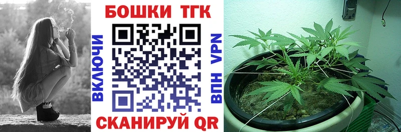 Конопля план Шенкурск
